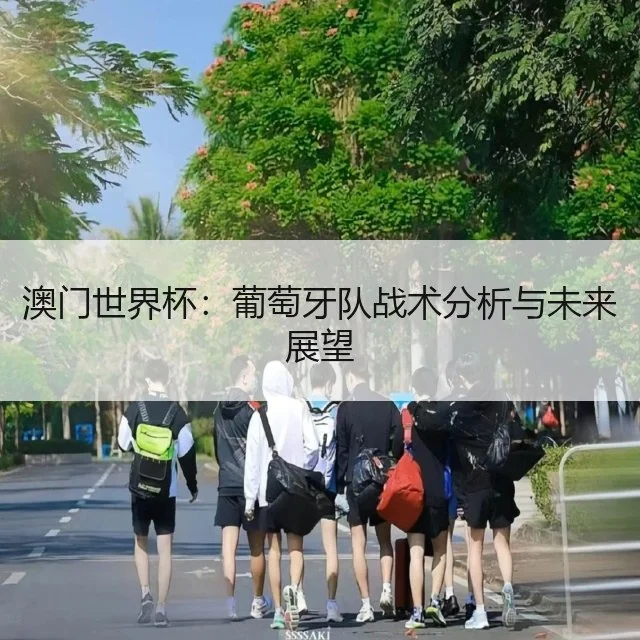 澳门世界杯:葡萄牙队战术分析与未来展望